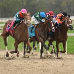The Puma Pounces Late to Win Tampa Bay Derby